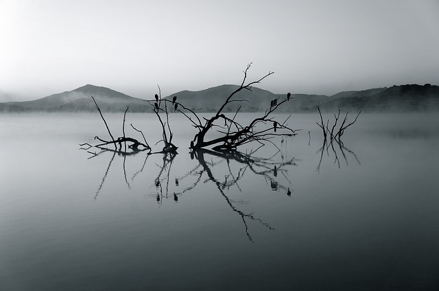 jezero